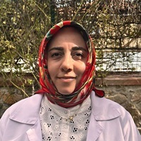 Uzman Öğretici Dilek AKBULUT